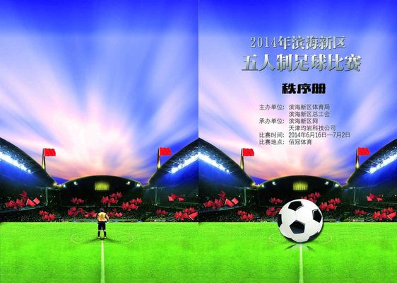 西协甲水平 西协甲水平